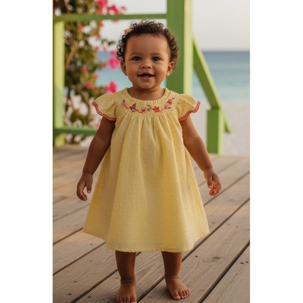 New Kensie Baby Girl Yellow Smocked Flowers Dress 6-9 Months 2 Piece 6m 9m NWT
